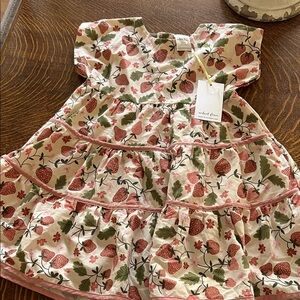 Velvet fawn Strawberry Tiered Dress in Pink and Green